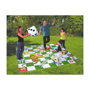 Giant Snakes and Ladders