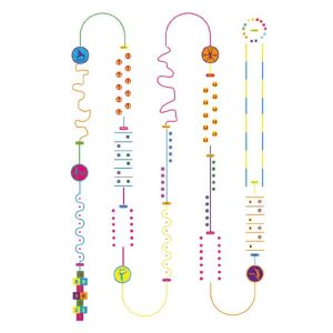 Deluxe Fun & Active Trail 100 Metres