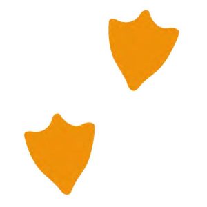 Duck Prints 150mm