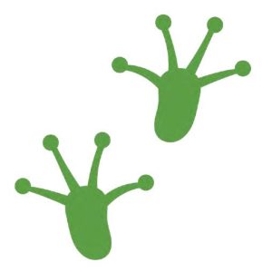 Frog Prints 150mm