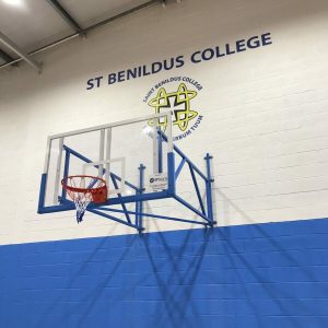 Competition Acrylic Wall Mounted Basketball