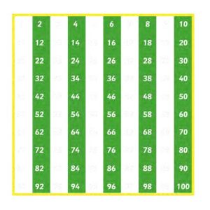 Number Grid 1-100 Evens 3 Metre Square