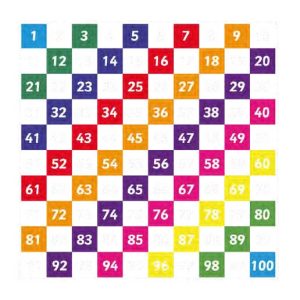 Number Grid 1-100 Every Other (3 Metre Square )