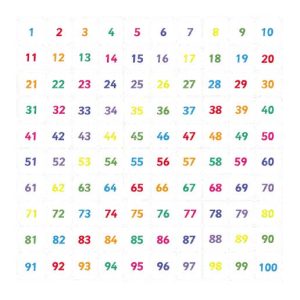 Number Grid 1-100 Outline (4 Metre Square)