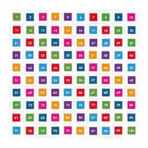 Number Grid 1-100 Outline and Solid (5 Metre Square)