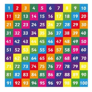 Number Grid 1-100 Solid 3 Metre Square
