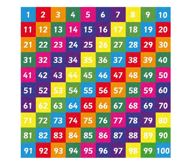 Number Grid 1-100 Solid 3 Metre Square