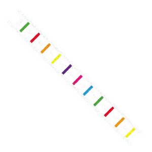 Number Ladder 0-10 Outline 4 Metre x 0.6 Metre