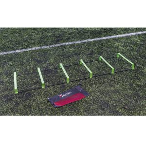 Precision Pinnacle Ladder